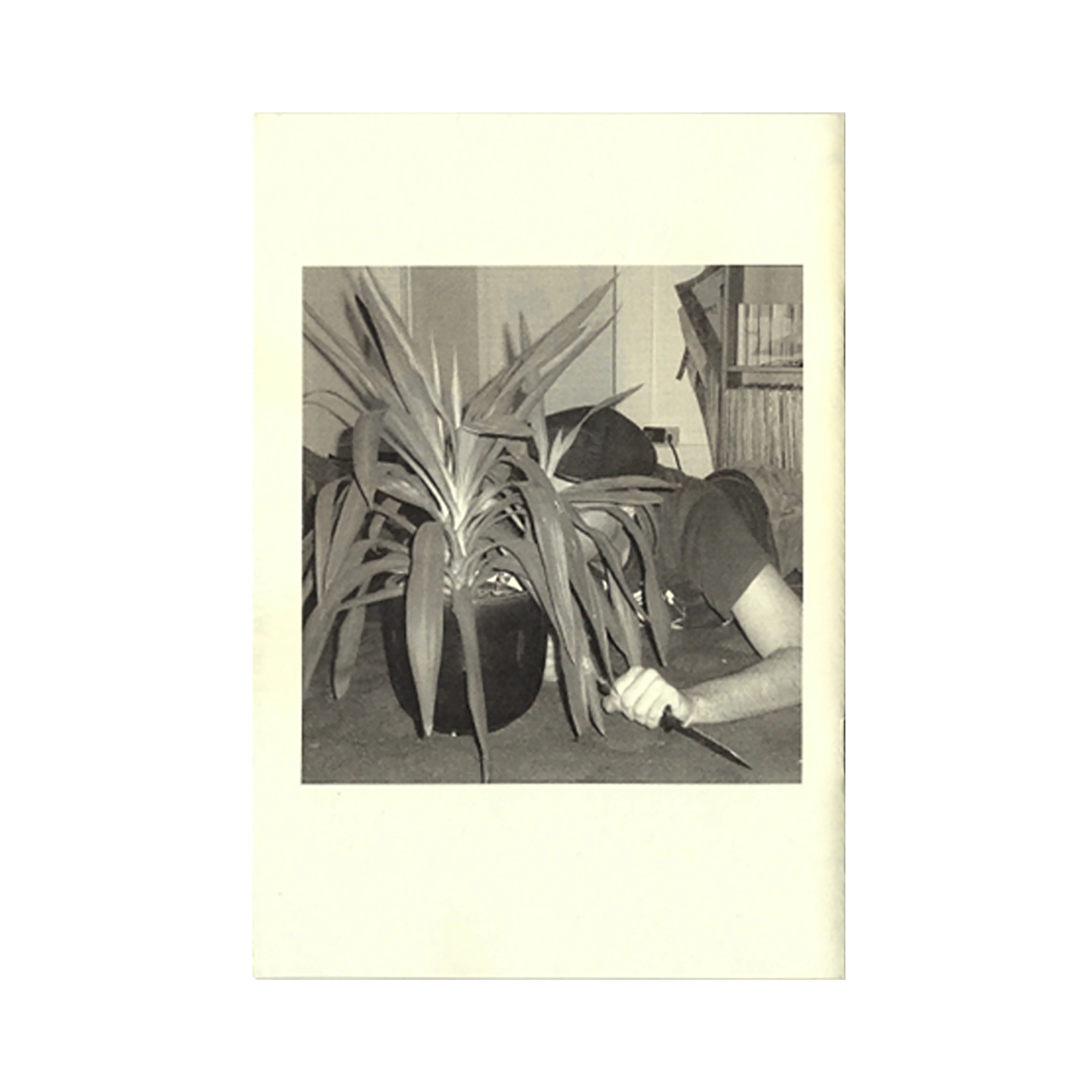 Innen: Shay Semple - "Right Wing Yoga" Zine - Image 5