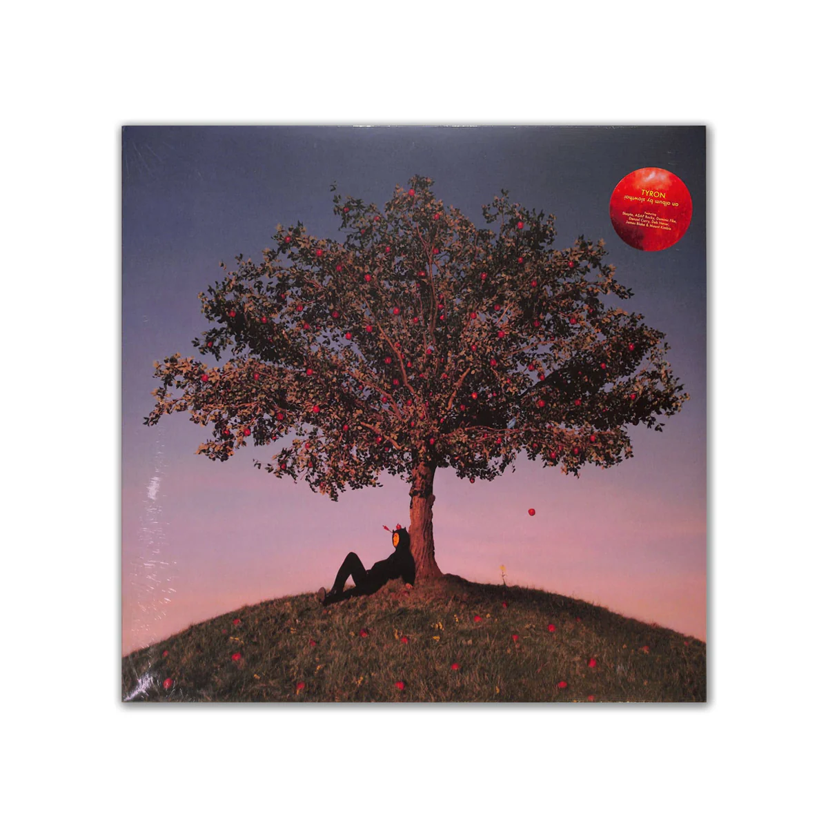 slowthai – "TYRON" LP